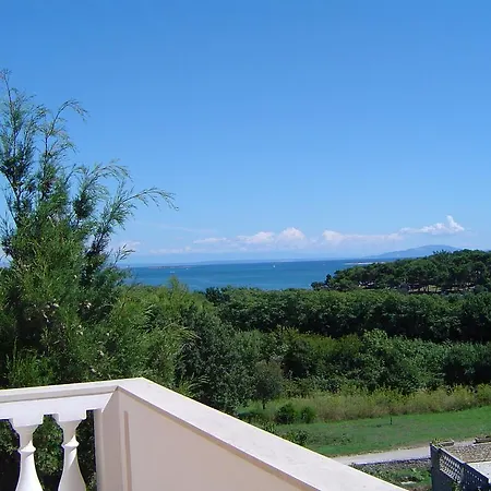 Sun Palace Maison d'hôtes